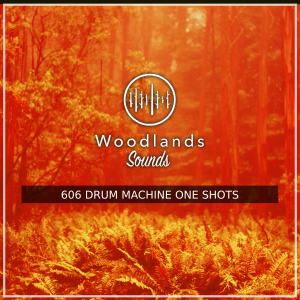 https://woodlands.studio/wp-content/uploads/2023/04/606-Drum-Machine-IMAGE-300x300.png